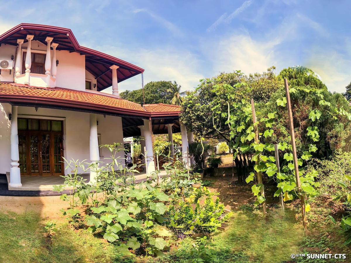 Ceylon Pearlwing Resort Negombo Zewnętrze zdjęcie